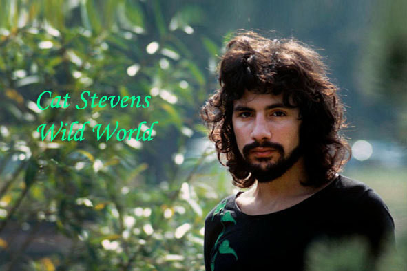 Cat Stevens Wild World 2771