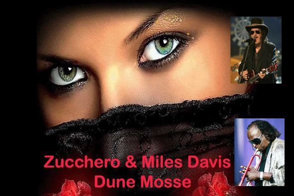 Zucchero Miles Davis Dune Mosse