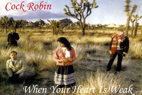 Résultat de recherche d'images pour "When your Heart is Weak cock Robin"
