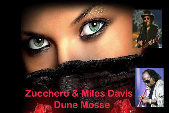 Résultat de recherche d'images pour "zucchero miles davis dune mosse"